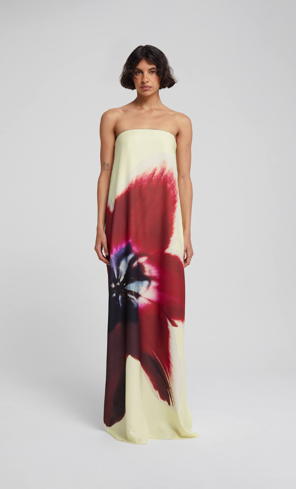 ANTHEIA DRESS
